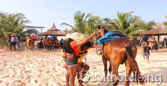 Barracuda Beach Resort